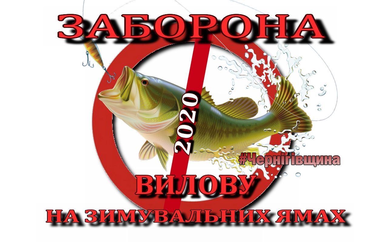 Фотографія